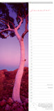 December month with photo of a tree in pinks and purples.