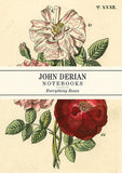 Cover of John Derian Notebooks set of 3 with roses on a cream background