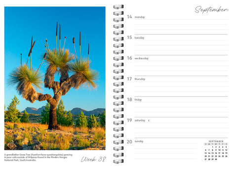 Wild Places Australia Diary 2026 - internal view