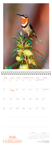 Birds of Australia Wall Calendar 2026 - month