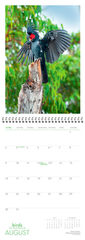 Birds of Australia Wall Calendar 2026 - month