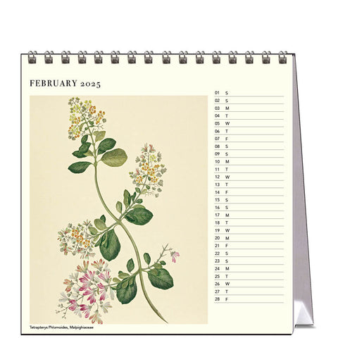 Botanicals - Joseph Banks (HMS Endeavour) Desk Calendar 2025 - month