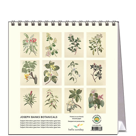 Botanicals - Joseph Banks (HMS Endeavour) Desk Calendar 2025 - back