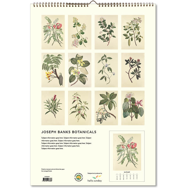 Botanicals Joseph Banks (HMS Endeavour) Large Calendar 2025 Paper