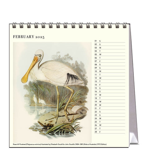 Birds - John Gould Desk Calendar 2025 - month