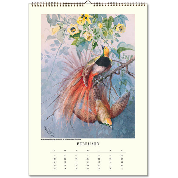 Ellis Rowan Birds Large Wall Calendar 2025 Paper Parrot