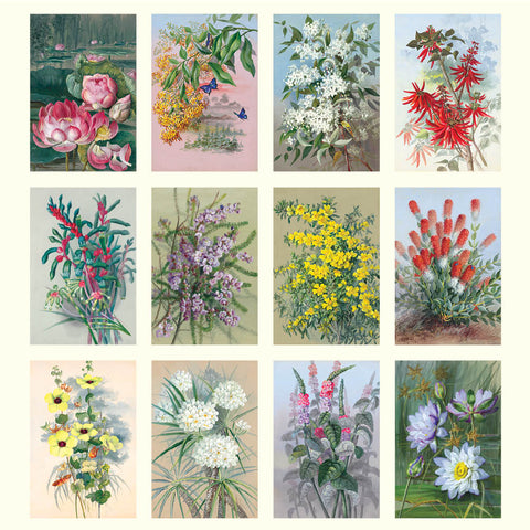 Ellis Rowan - Flowers Desk Calendar 2025 - images
