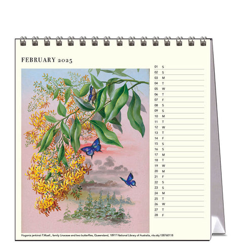 Ellis Rowan - Flowers Desk Calendar 2025 - month