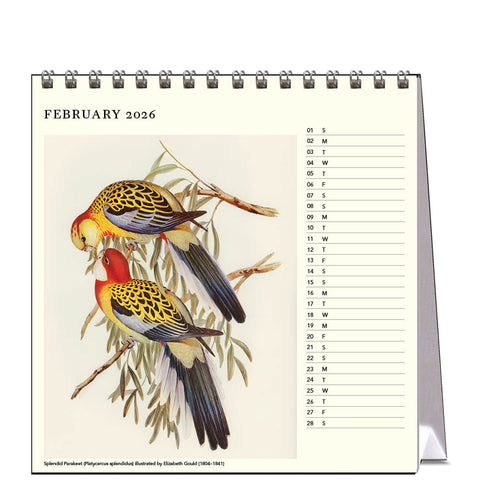 Australian Birds - John Gould Desk Calendar 2026 - month