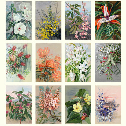 Ellis Rowan - Flowers Desk Calendar 2026 - images
