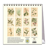 Desk calendar with botanical illustrations on a white background