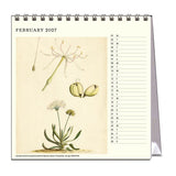 Calendar for February 2027 with botanical illustrations on a white background