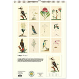 Calendar with illustrations of birds and plants on a white background