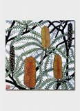 A banksia with green leaves and yellow seed pods