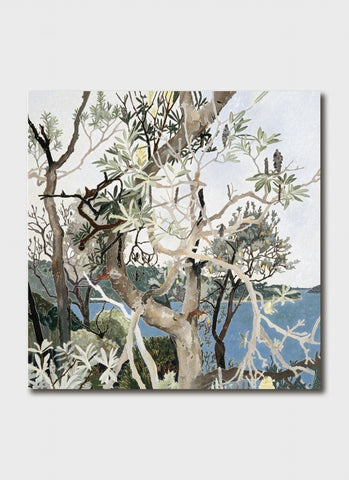 Cressida Campbell art card - Banksias, Ball's Head, Sydney
