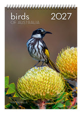 Cover of Birds of Australia 2027 calendar with a black and white bird with yellow wings on a yellow flower.