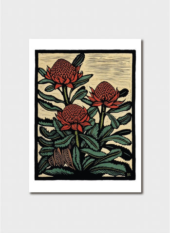 Bruce Goold Art Card - Waratah