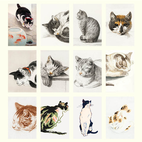 Cat Drawings Desk Calendar 2025 - images