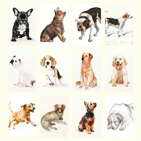 Dog Drawings Desk Calendar 2025 - images