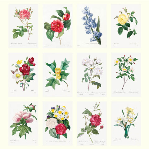 Redoute's Flowers Desk Calendar 2025 - images