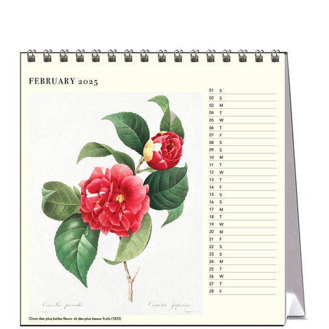 Redoute's Flowers Desk Calendar 2025 - month