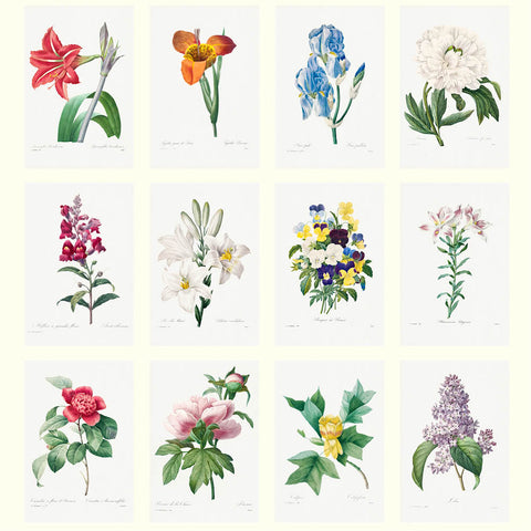 Redoute's Flowers Desk Calendar 2026 - images