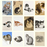 Grid of various illustrations of cats in different poses and styles.