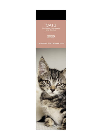 Cats Bookmark Calendar 2025