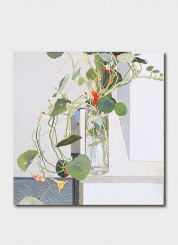 Cressida Campbell art card - Nasturtiums 1993