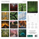 Back cover of Magic Trees calendar with an image for each month.
