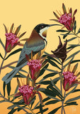 Pip and Pod A Year of Birds and Blooms 2027