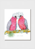 Minky Grant art card - Galah Chicks