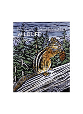Calendar cover with a chipmunk illustration and 'Molly Hashimoto Wildlife' text on a white background