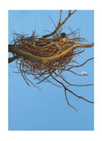 A blue card with a nest holding a child and a flower by Annie white