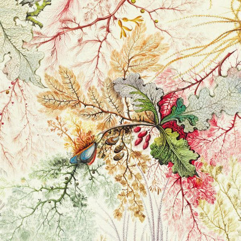 William Morris Wrapping Paper - Ocean - close up