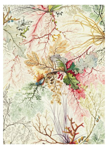 William Morris Wrapping Paper - Ocean