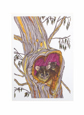 Sunshine Sea Art Card - Possum Family