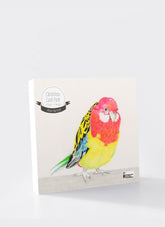 Card pack with a colorful parrot illustration on a white background