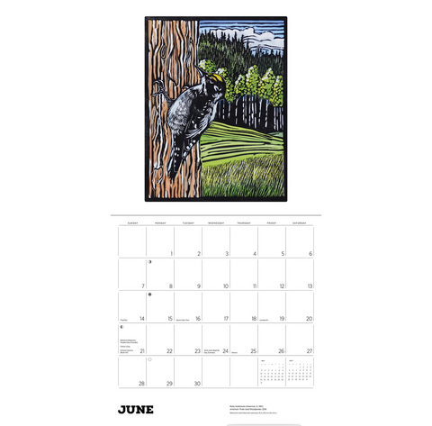 Molly Hashimoto: Birds Wall Calendar 2026