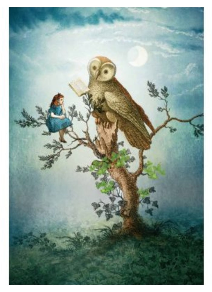 A girl in a tree with an owl who is reading a book.