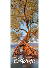 Calendar cover with a large tree by a body of water, featuring the word 'Bäume' and the year 2027.