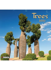 Calendar cover featuring a group of tall trees with a blue sky background, Tushita brand visible.