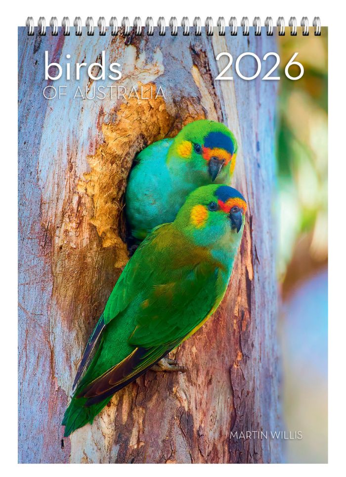 Birds of Australia Wall Calendar 2026
