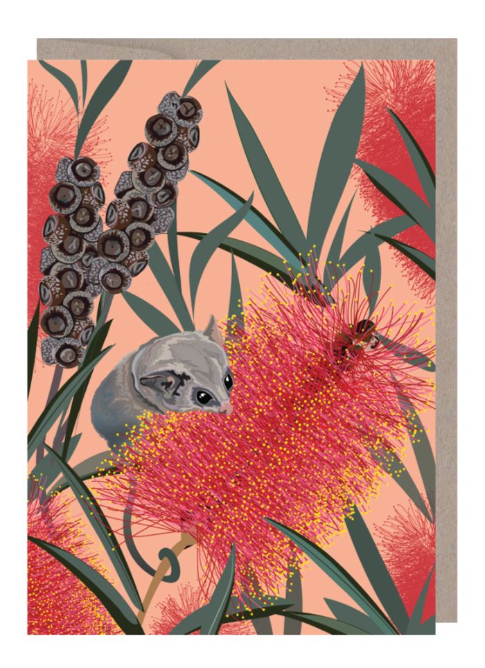 Emma Miszalski - Pygmy Possum