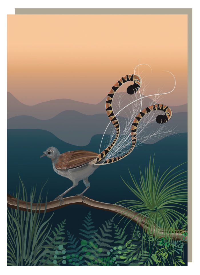 Emma Miszalski - Lyrebird Mountains