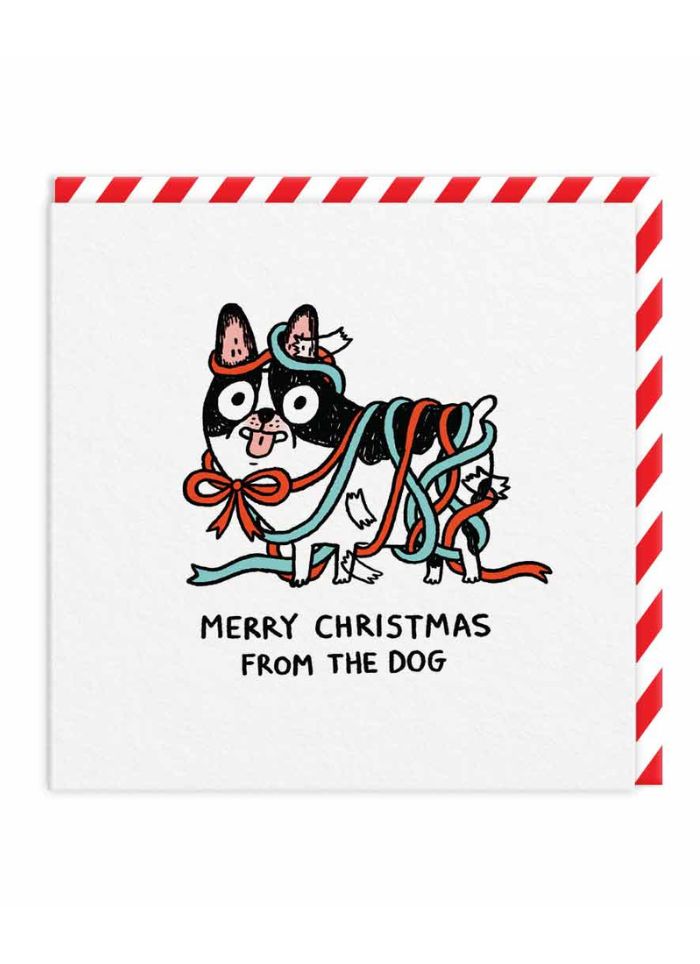 Gemma Correll Christmas Card - From the Dog