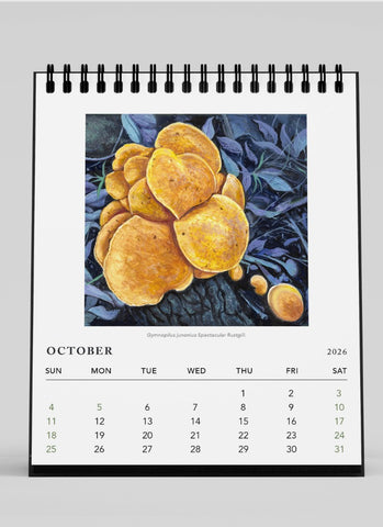 Sandi Rigby Desk Calendar 2026 - month
