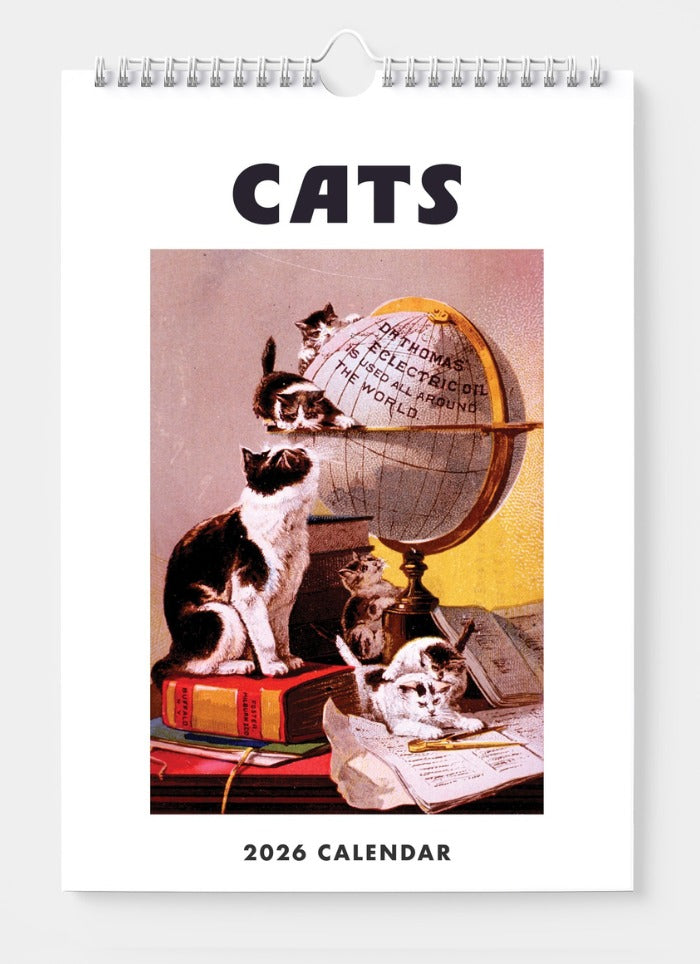 Cats Wall Calendar 2026 - front