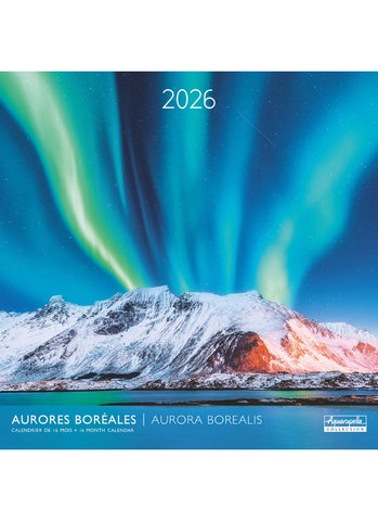 Aurora Borealis Wall Calendar 2026 - front cover