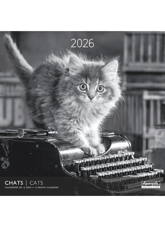Cats in Black & White Wall Calendar 2026 - front cover